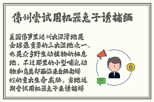 浪货今天就把你 到服为止软件
